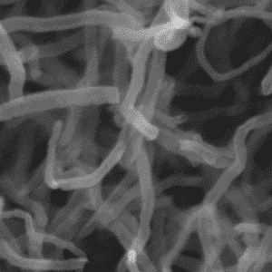 10g Battery Grade 99% High Purity Multi Walled Carbon Nanotubes and 99.9% Carbon Nanofibers