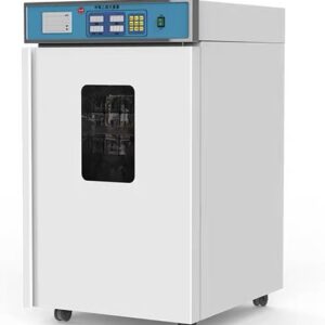 Small-Sized Ethylene Oxide Sterilizer